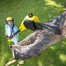 Best Lawn Irrigation Installation and Maintenance  in Hewitt, NJ